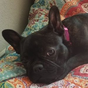 Meet your Posher, Summer